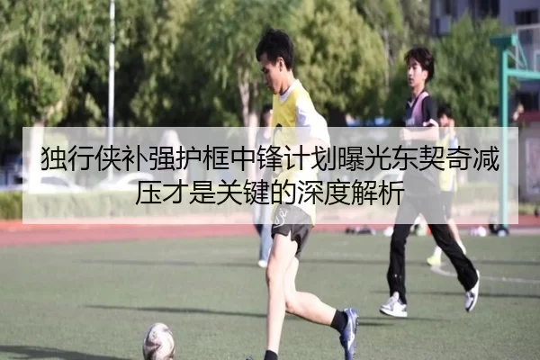 独行侠补强护框中锋计划曝光东契奇减压才是关键的深度解析